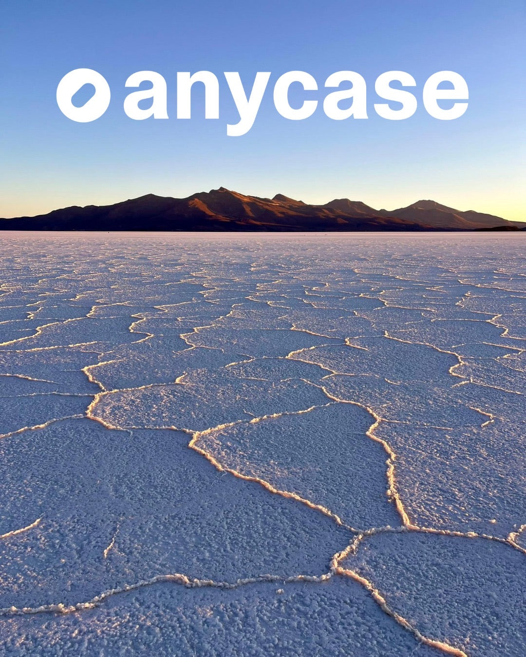 anycase in the wild