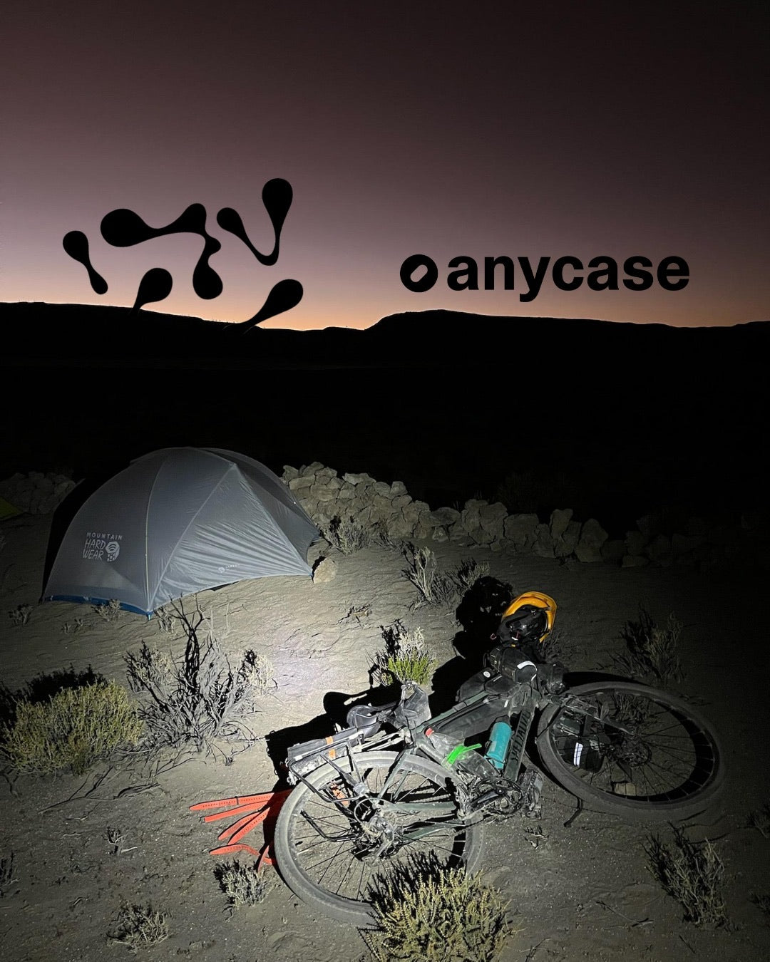 anycase product detail